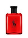 Polo Red Ralph Lauren (Men)