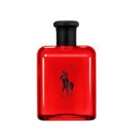 Polo Red Ralph Lauren (Men)